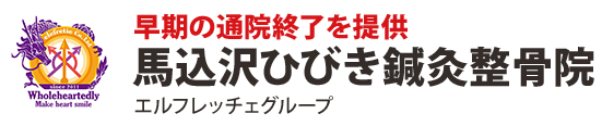 馬込沢ひびき鍼灸整骨院 早期の通院終了を提供 エルフレッチェグループ